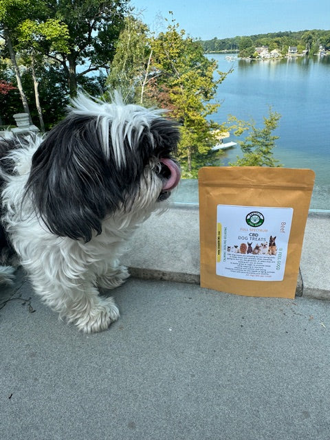 CBD Dog Treats With Beef For Calming Anxiety and Joint Pain Relief 100 mg Full Spectrum Green Dr CBD