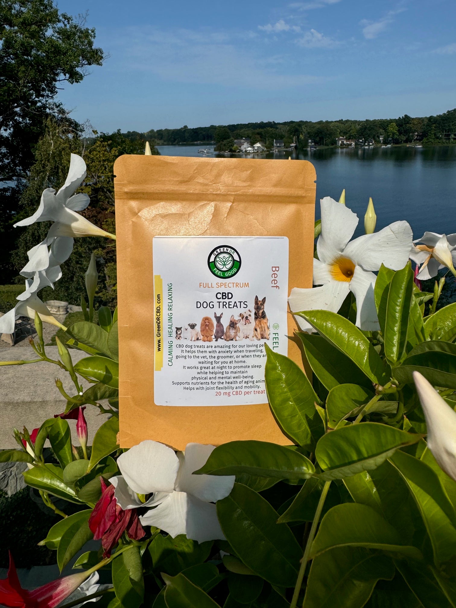 The best CBD Dog Treats 100 mg full spectrum - The Original Green DR CBD