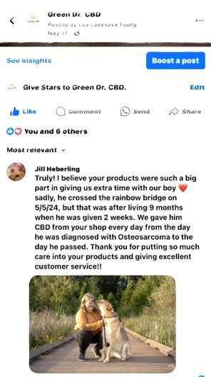 The best CBD Dog Treats 100 mg full spectrum - The Original Green DR CBD