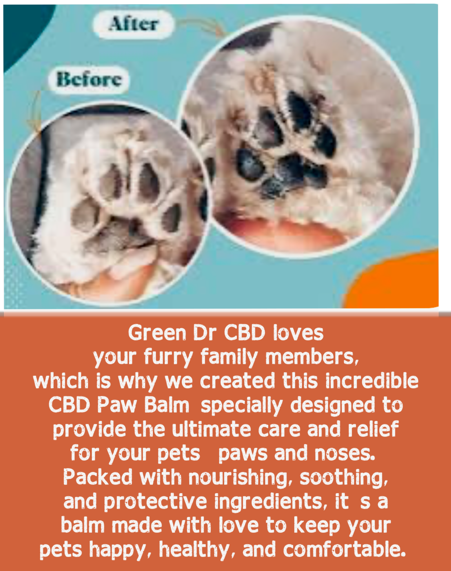 Full Spectrum CBD Paw & Nose Balm - Soothing Relief for Dry, Cracked Skin (500 mg) - The Original Green DR CBD