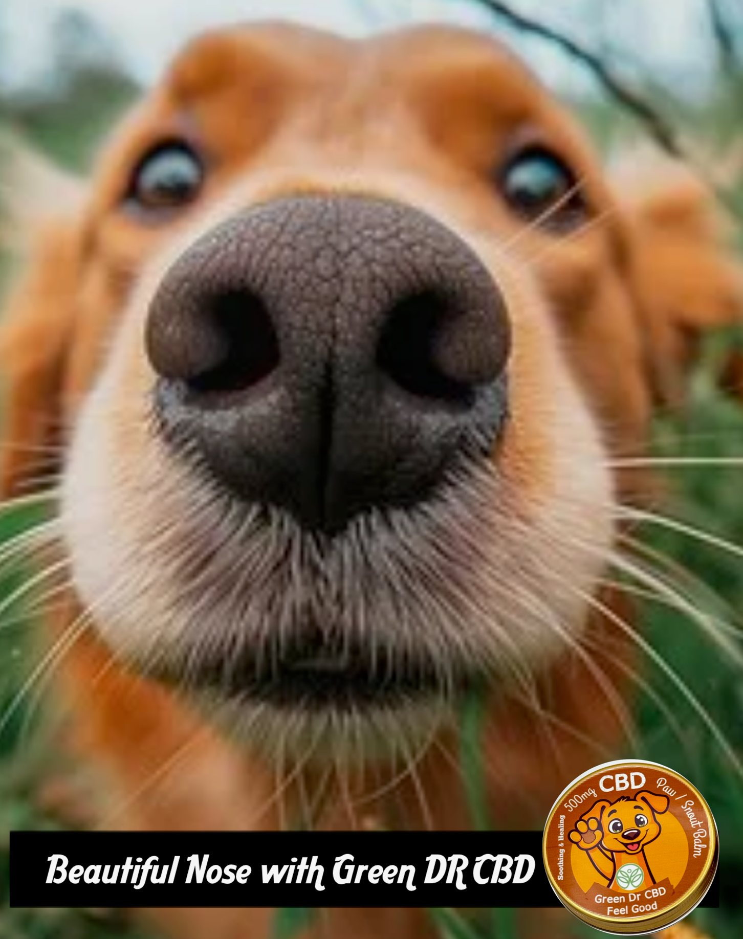 Full Spectrum CBD Paw & Nose Balm - Soothing Relief for Dry, Cracked Skin (500 mg) - The Original Green DR CBD