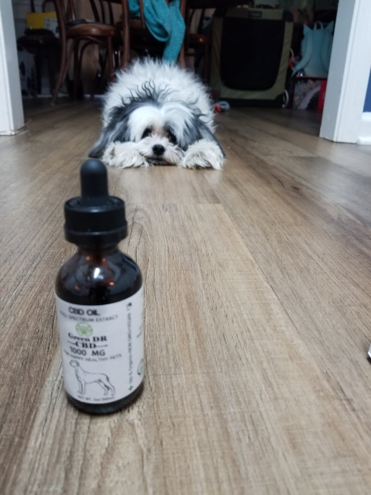 CBD Pet Tincture (500mg)
