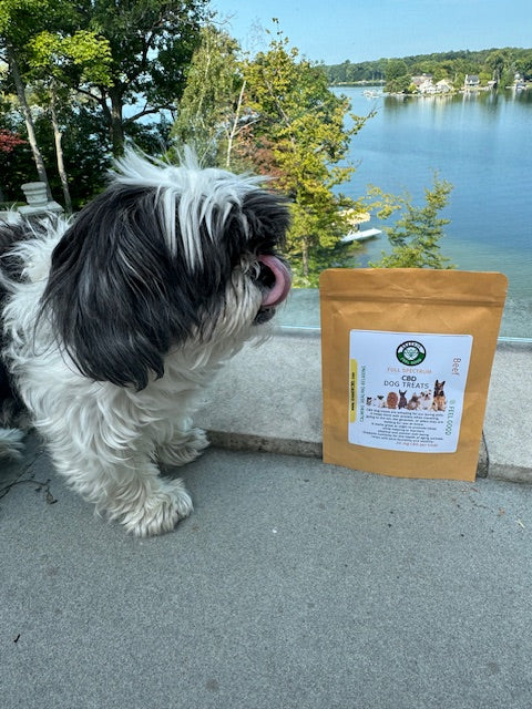 The best CBD Dog Treats 100 mg full spectrum