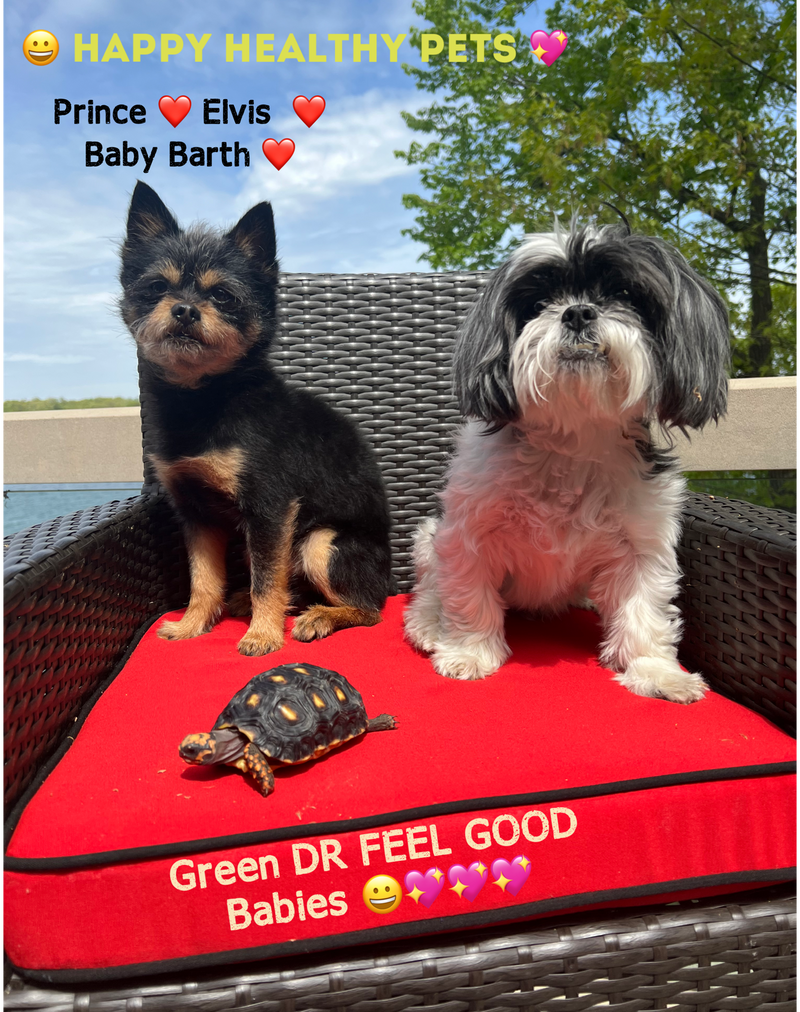 Best CBD Dog Treats for Your Pets - Price Starts From $12.00 CBD Dog Treats (300 mg) also Beef CBD Dog Treats for better night rest for stressful situations like loud noise feeling alone going to the groomer
